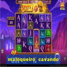 maloqueiro cavando sua cova portal do zacarias